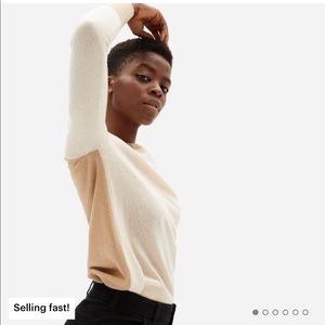 Everlane Crewneck Cashmere Sweater